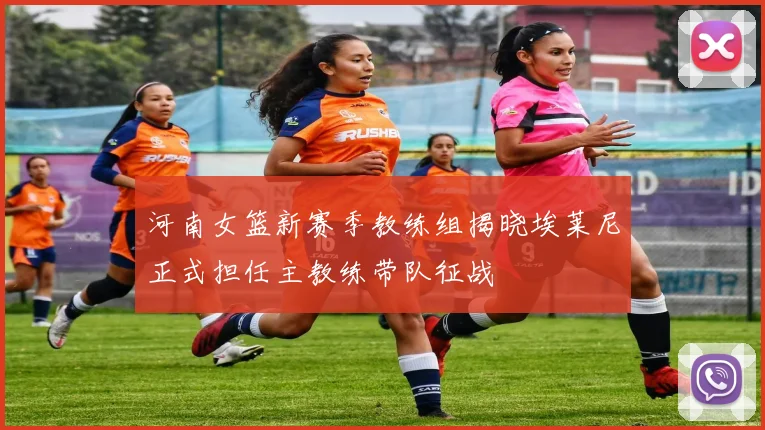 河南女篮新赛季教练组揭晓埃莱尼正式担任主教练带队征战